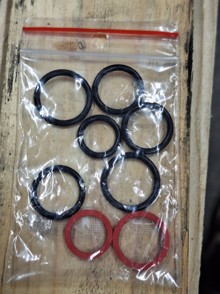 SEAL KIT, RS-210 VALVE (between blocks)