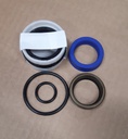 SEAL KIT, for 56098020/56098030, Pematic, -